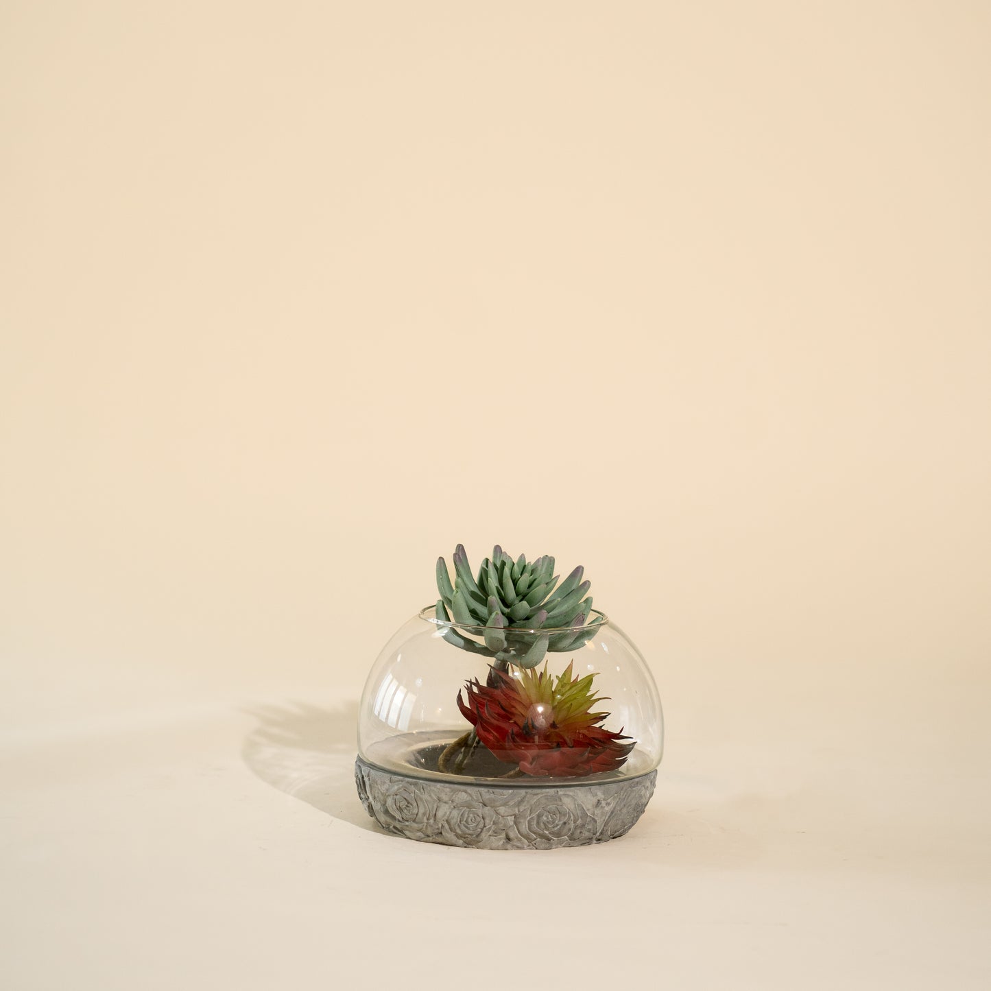 Terranium