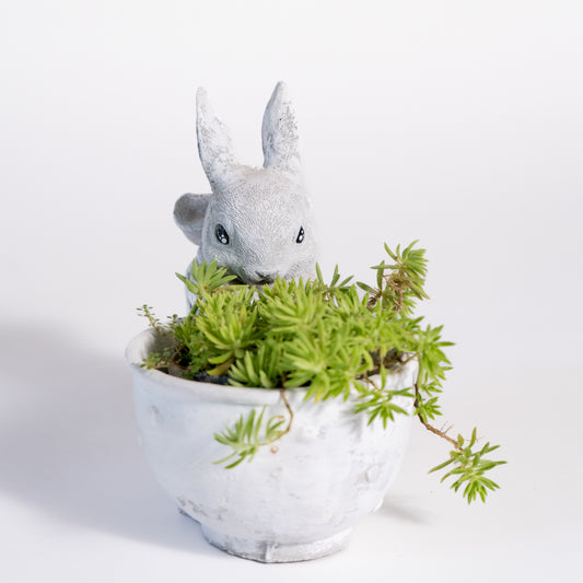 Bunny Cup Planter