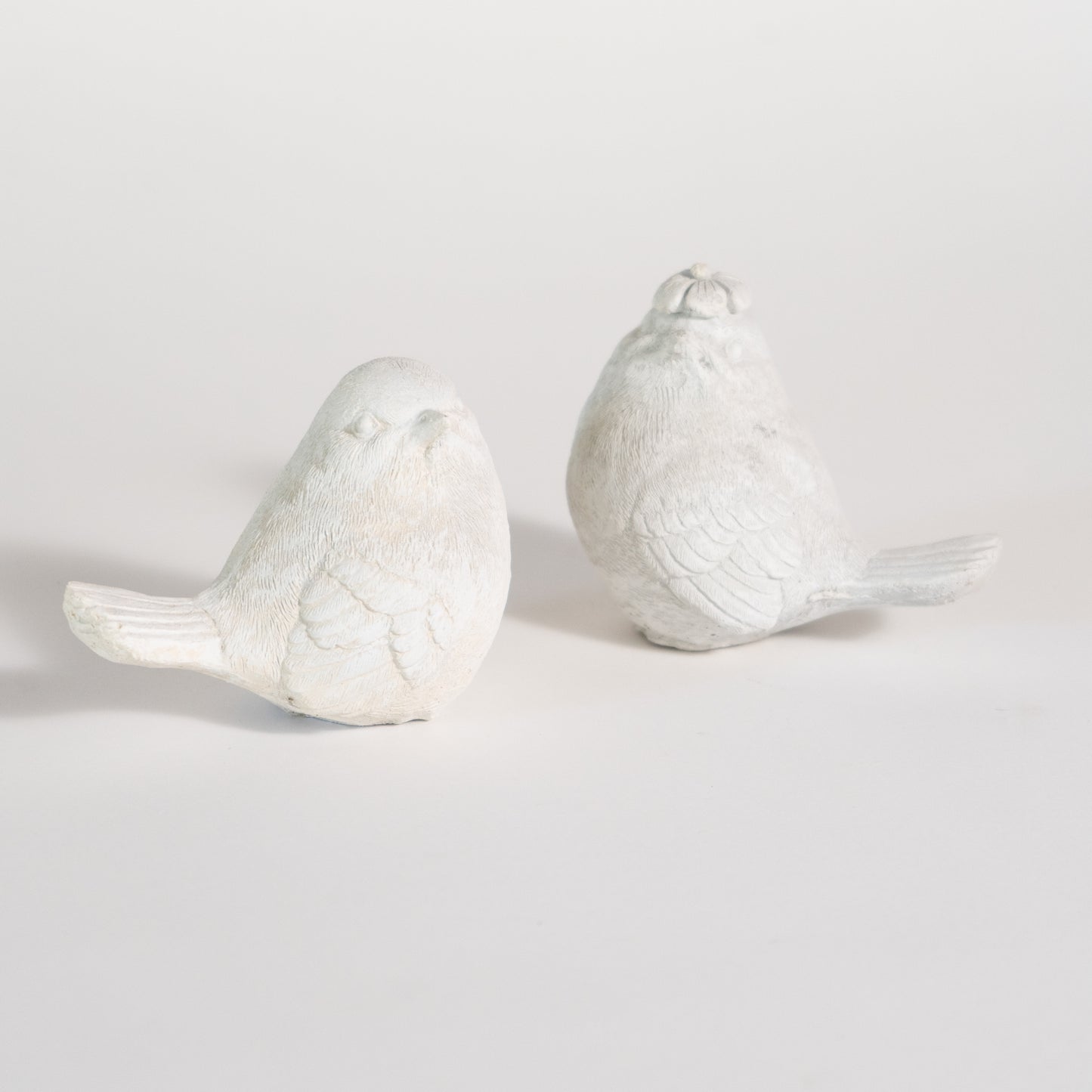 Bird Duo