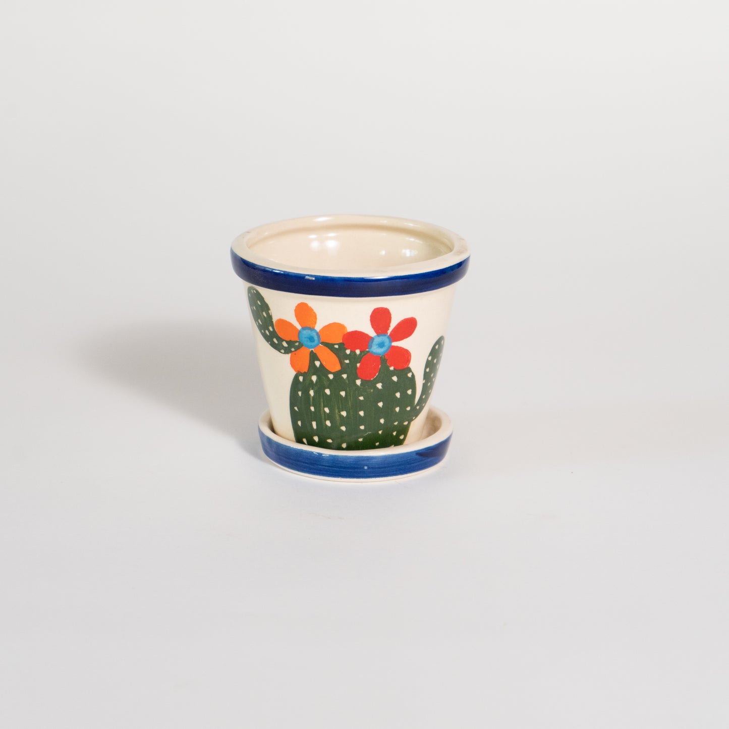 Cacti Themed Planter