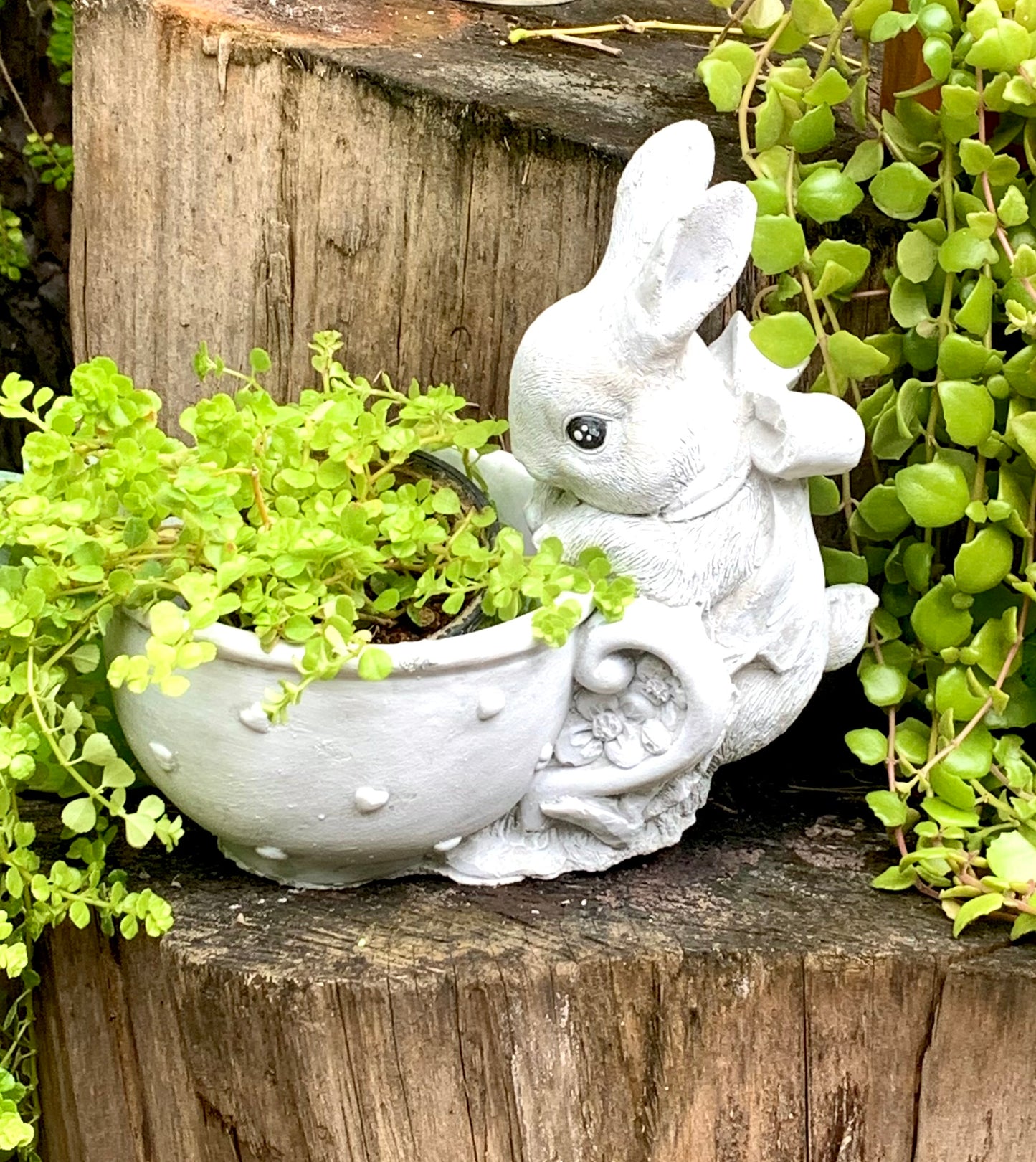 Bunny Cup Planter
