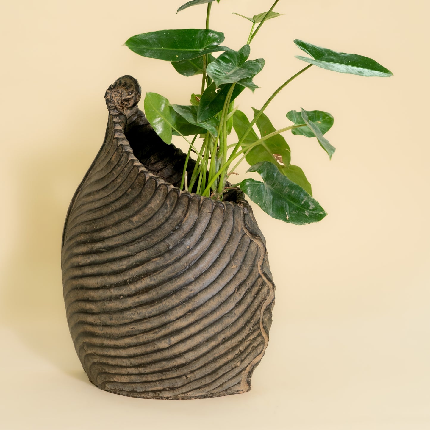 Leaf Shaped Planter