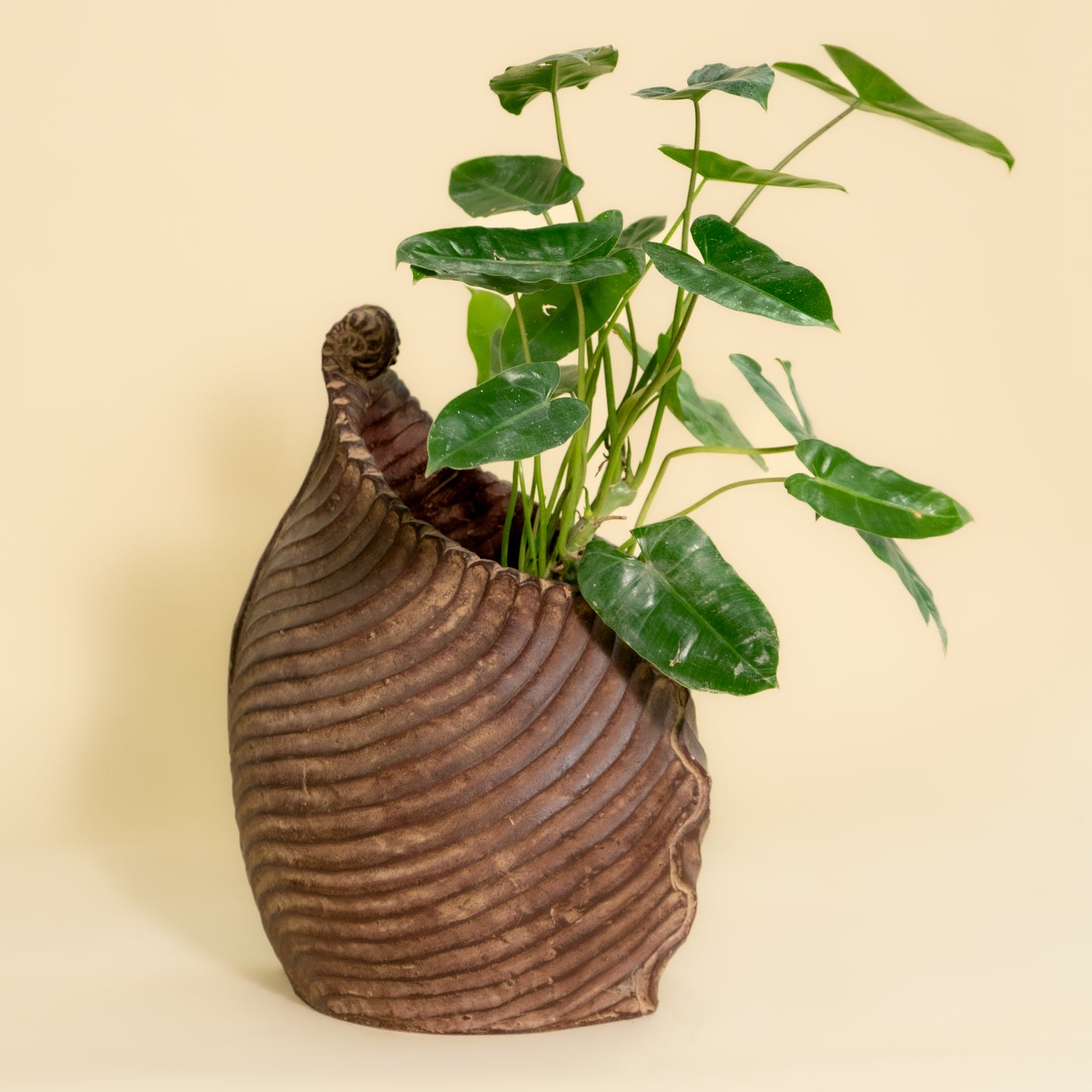 Leaf Shaped Planter