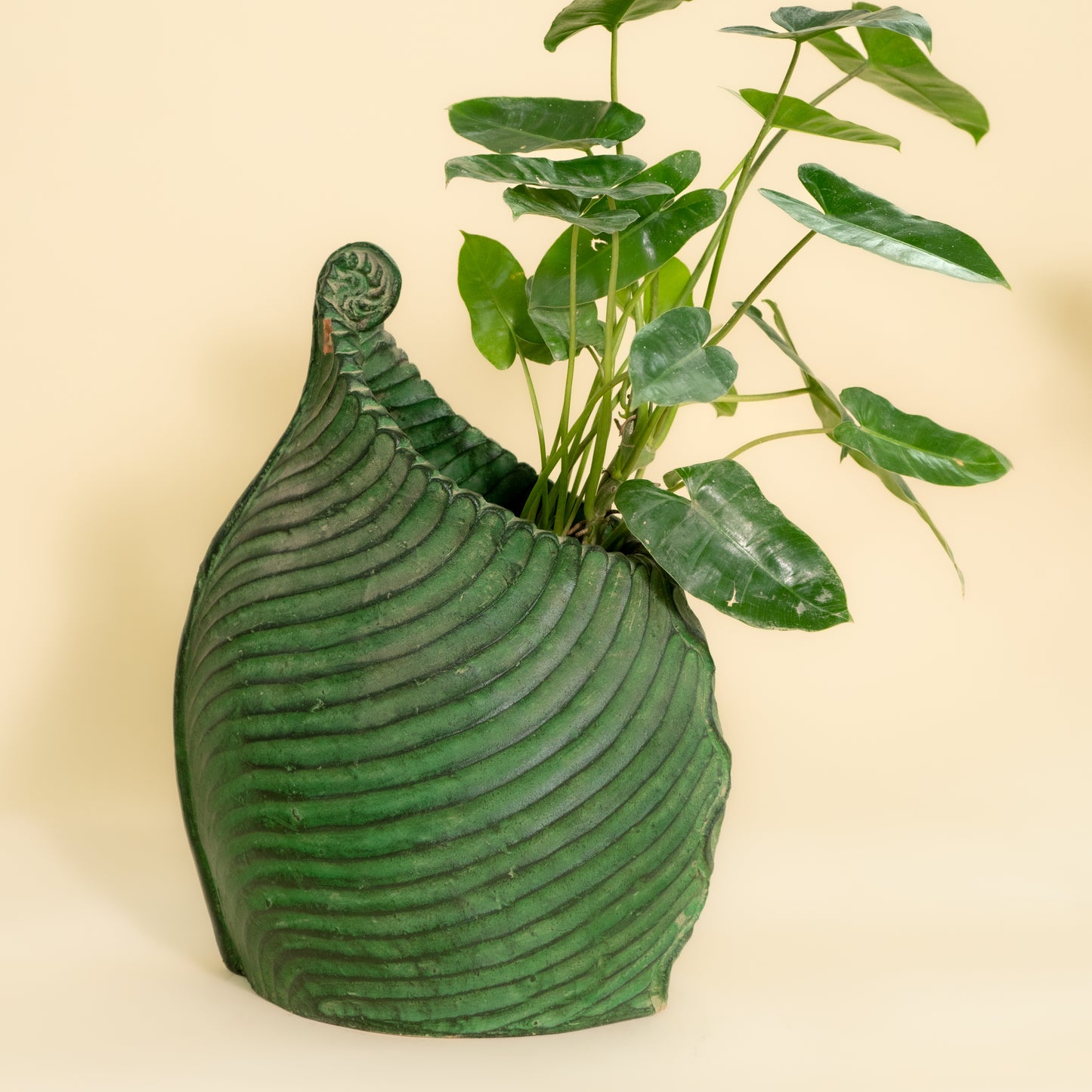 Leaf Shaped Planter