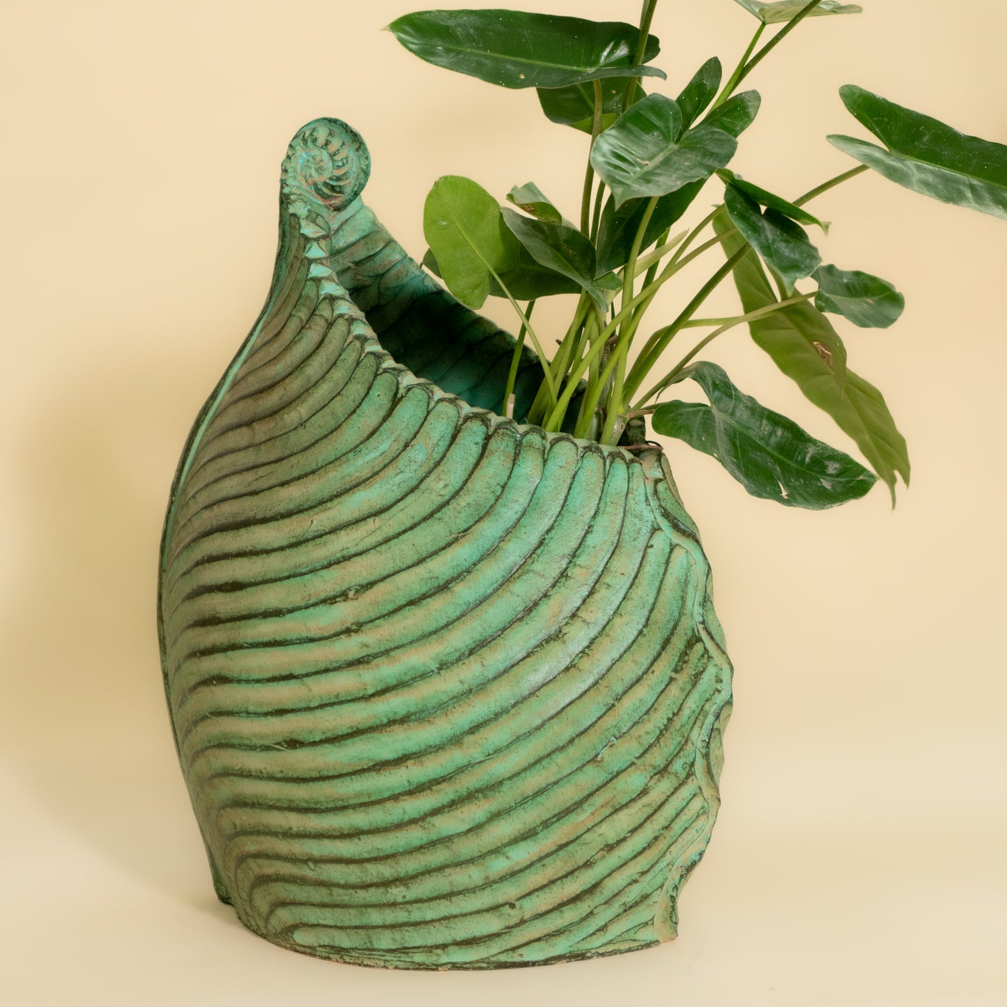 Leaf Shaped Planter