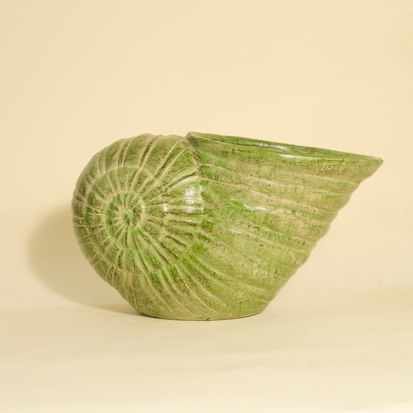 Snail Shell Planter