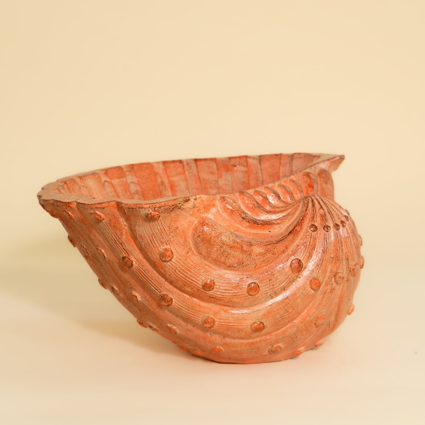 Oyester Shell Planter