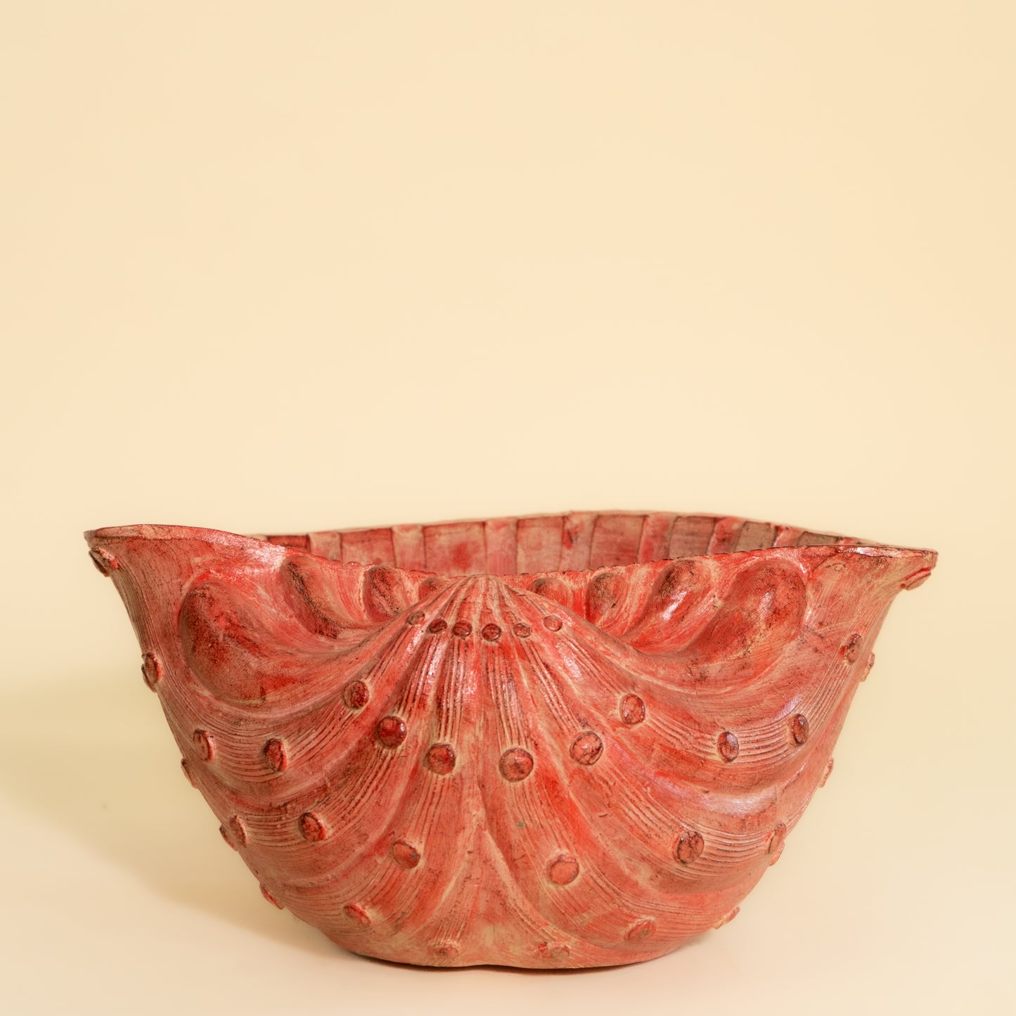 Oyester Shell Planter