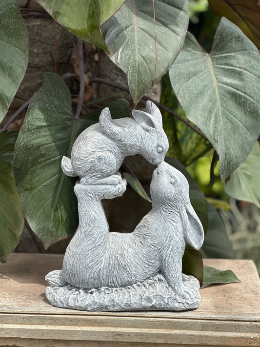 playful rabbits