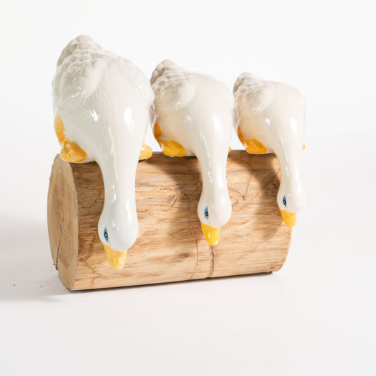 Trio of Ducks